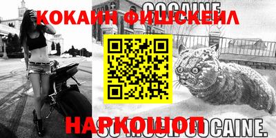 гашик Кимры