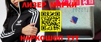 ешки Кингисепп