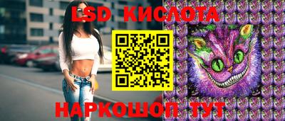 гашик Кимры