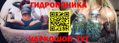 ешки Кингисепп