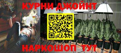 гашик Кимры