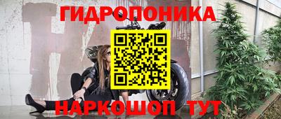 ешки Кингисепп