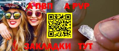 ешки Кингисепп