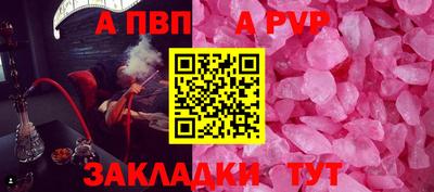 гашик Кимры