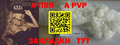 ешки Кингисепп