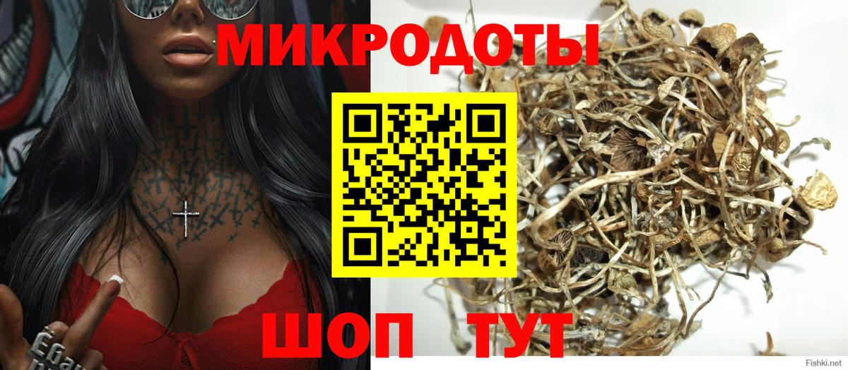 Псилоцибиновые грибы ЛСД Вичуга