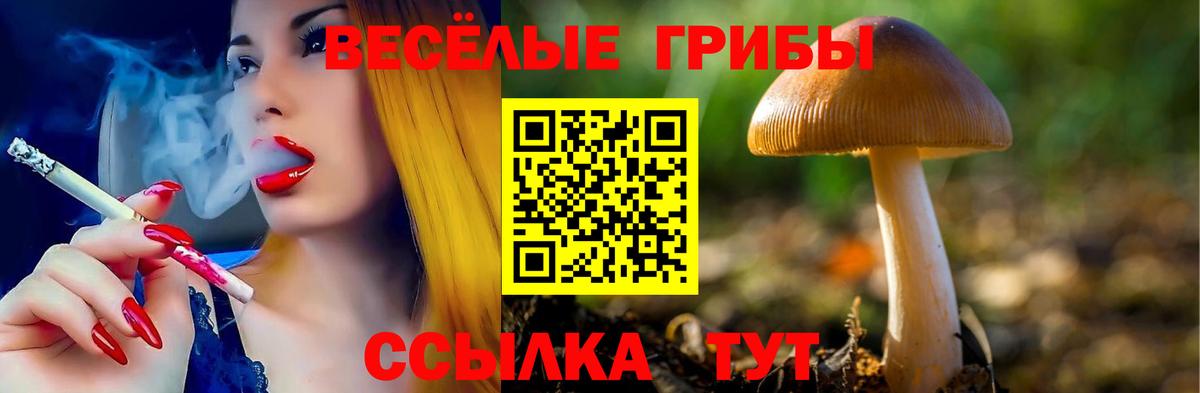 Псилоцибиновые грибы мухоморы  Псилоцибиновые грибы Psilocybe  Вичуга  Вход с VPN 